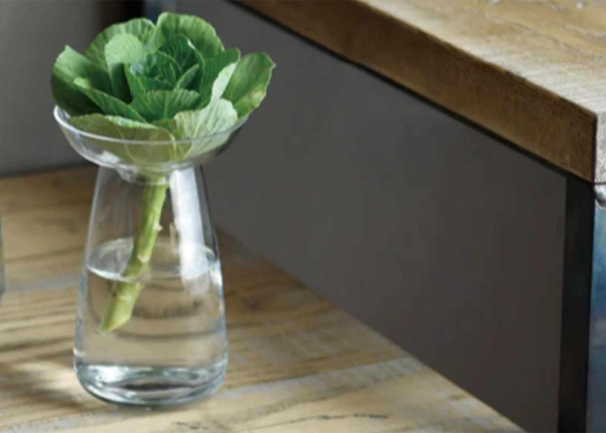 Aqua Culture Vase Small Clear - Image 2