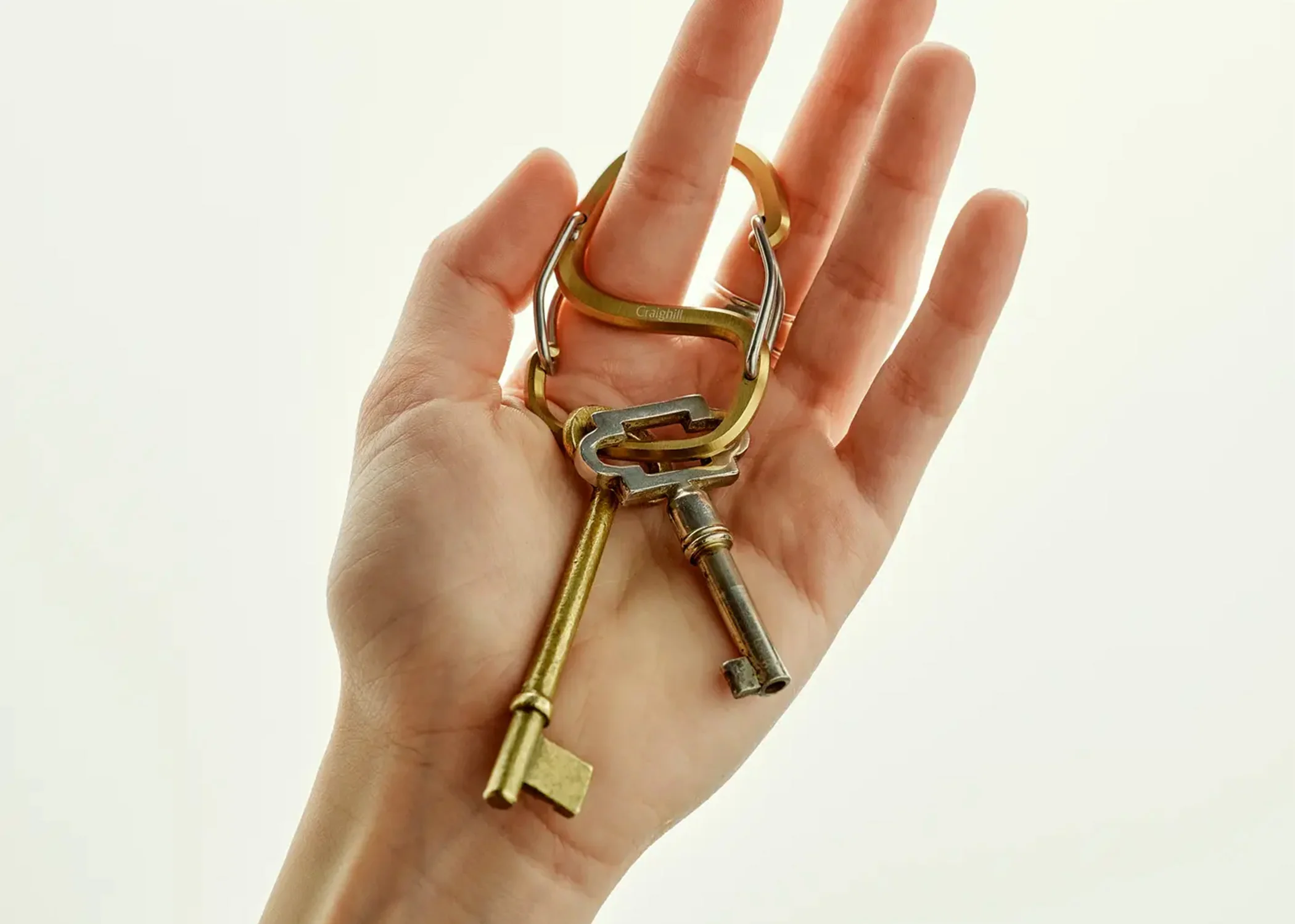 Coachwhip Carabiner Vapor Brass - Image 2