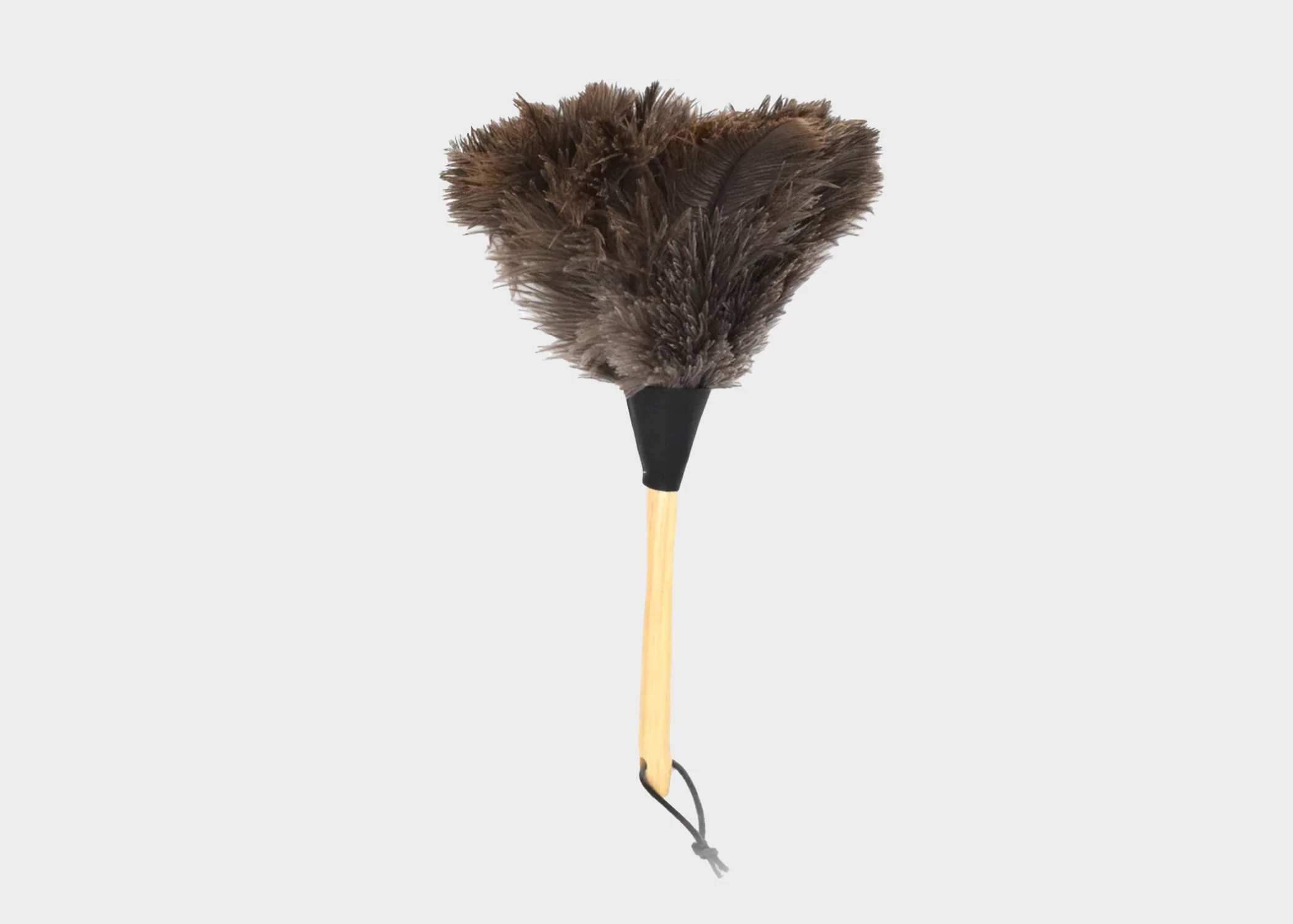 Feather Duster - Image 3