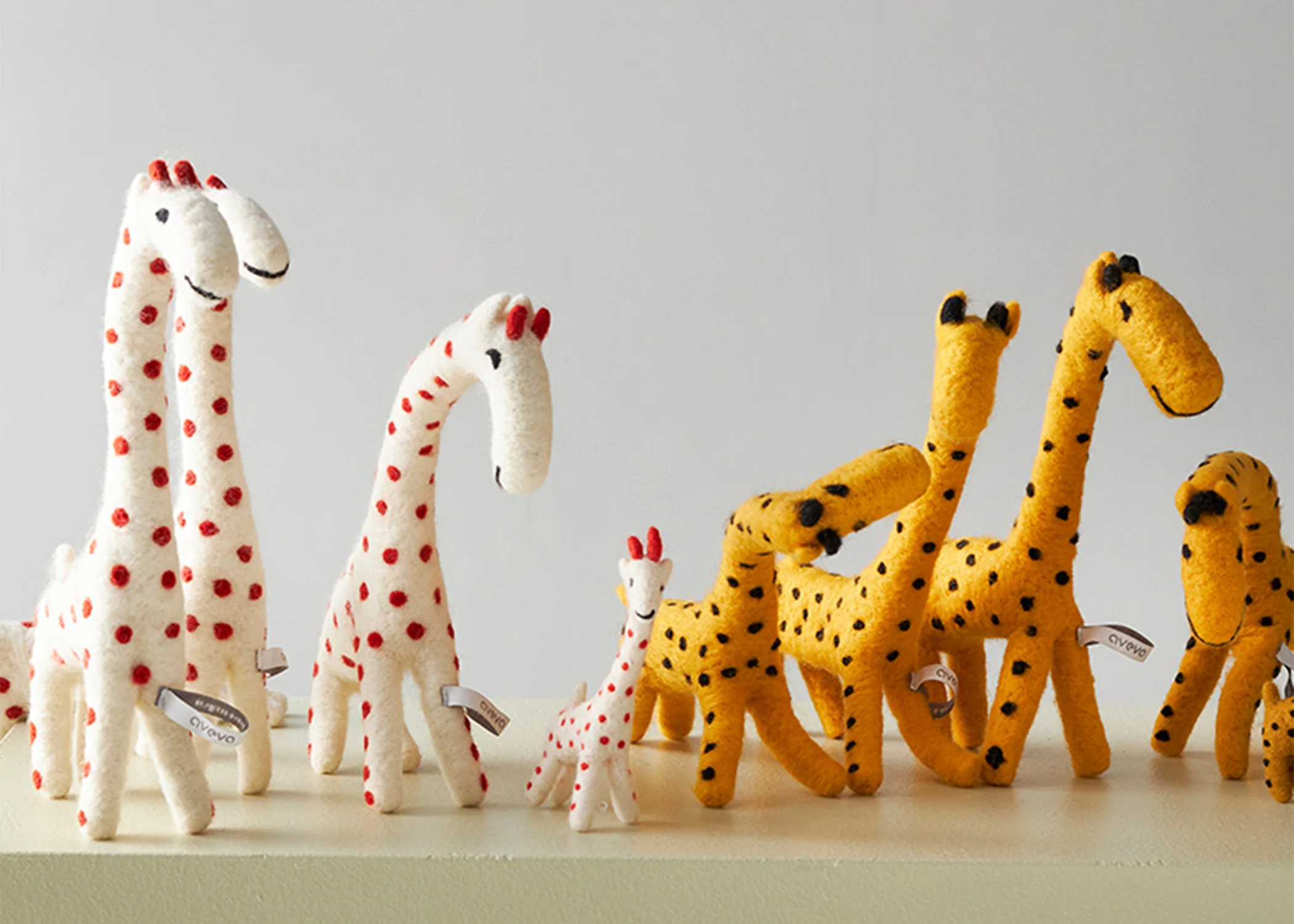 Gigi The Raffe - Image 3