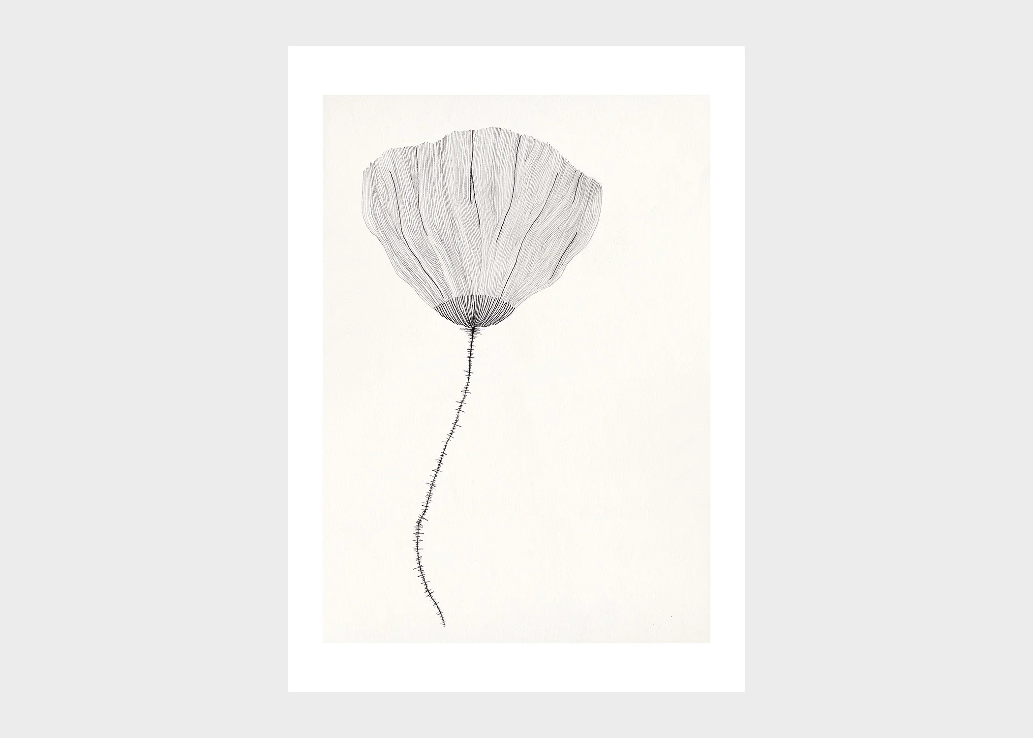 Print No. 215