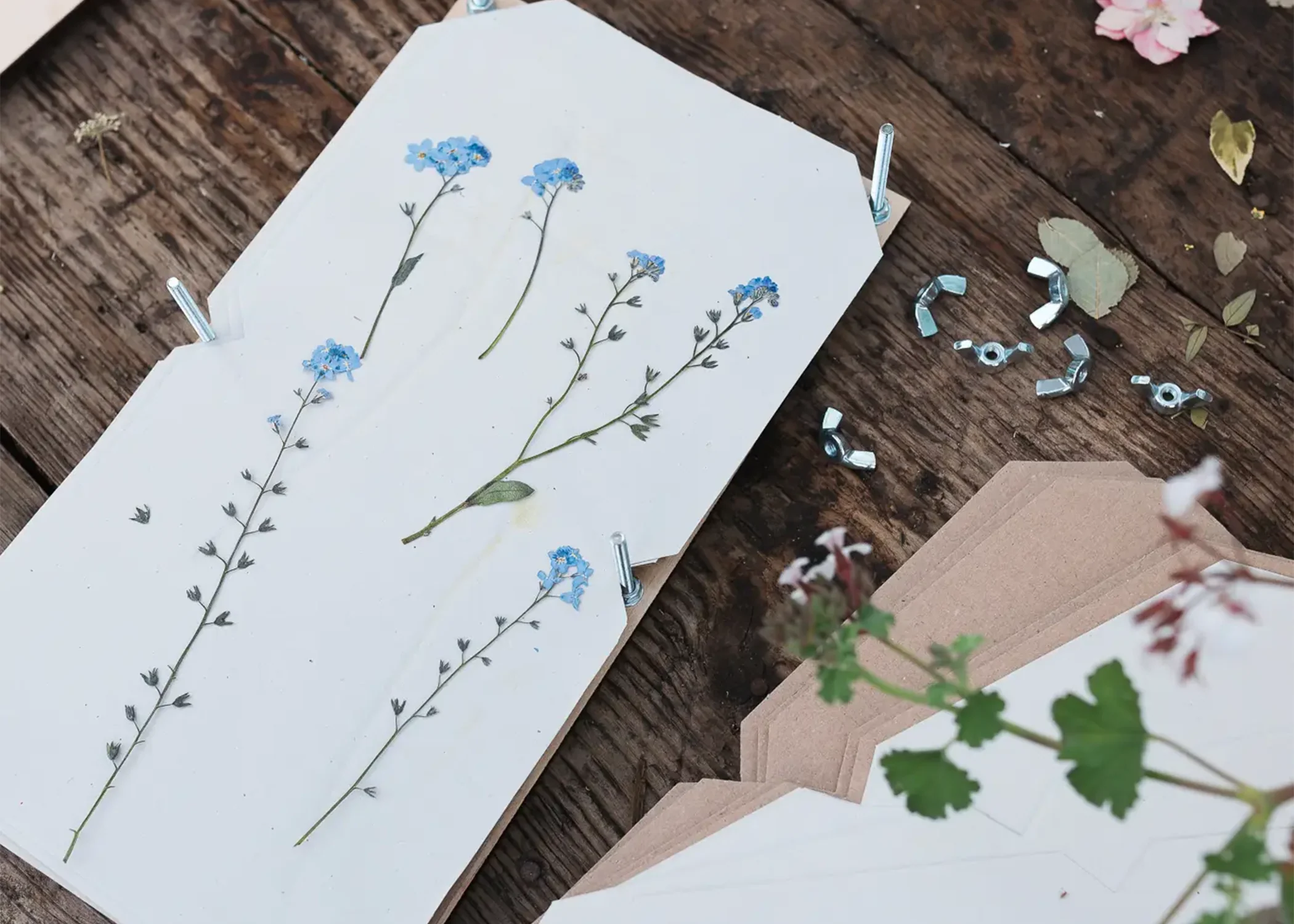 Large Flower Press - Image 6