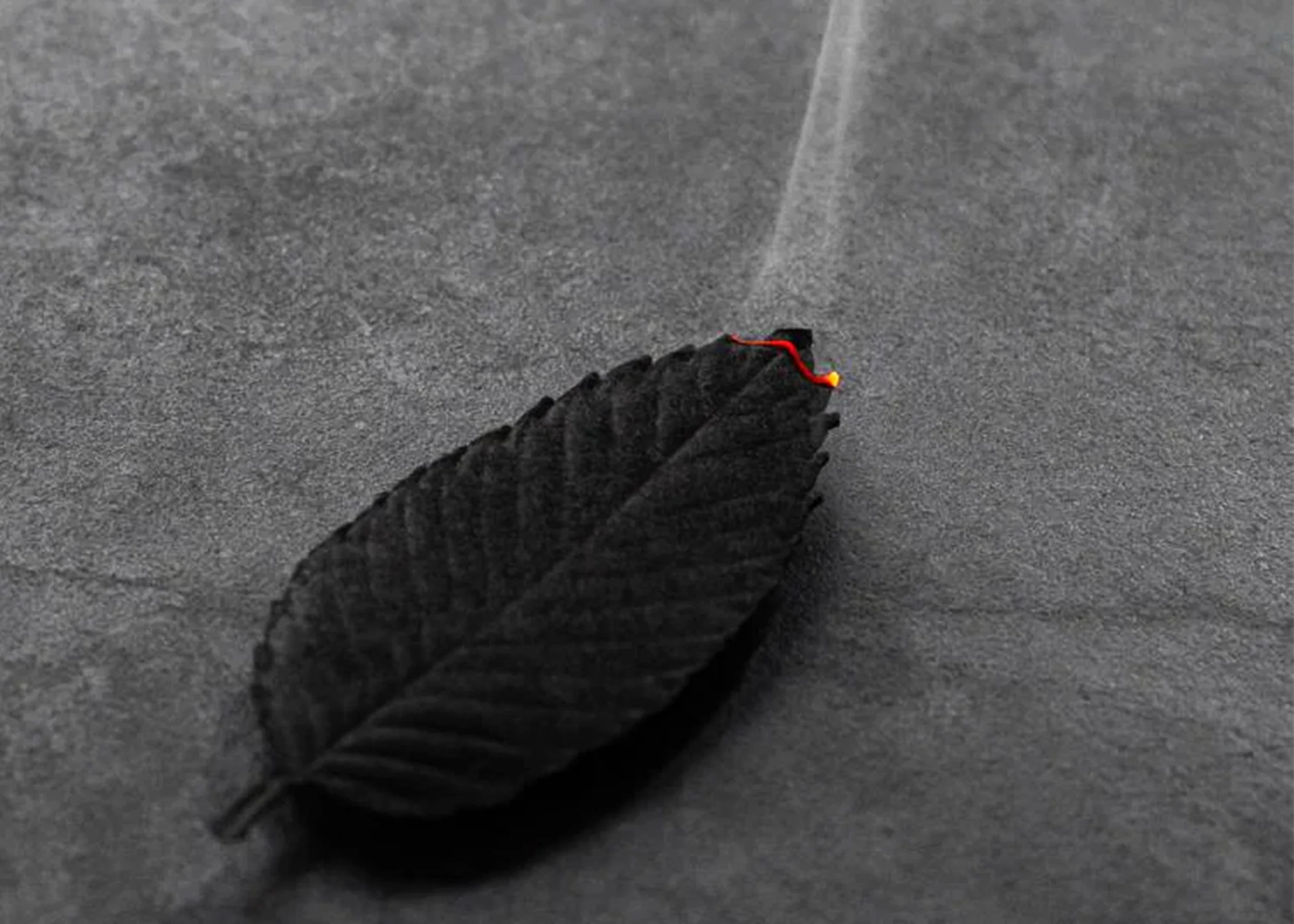Leaf Paper Incense - Focus - Image 3
