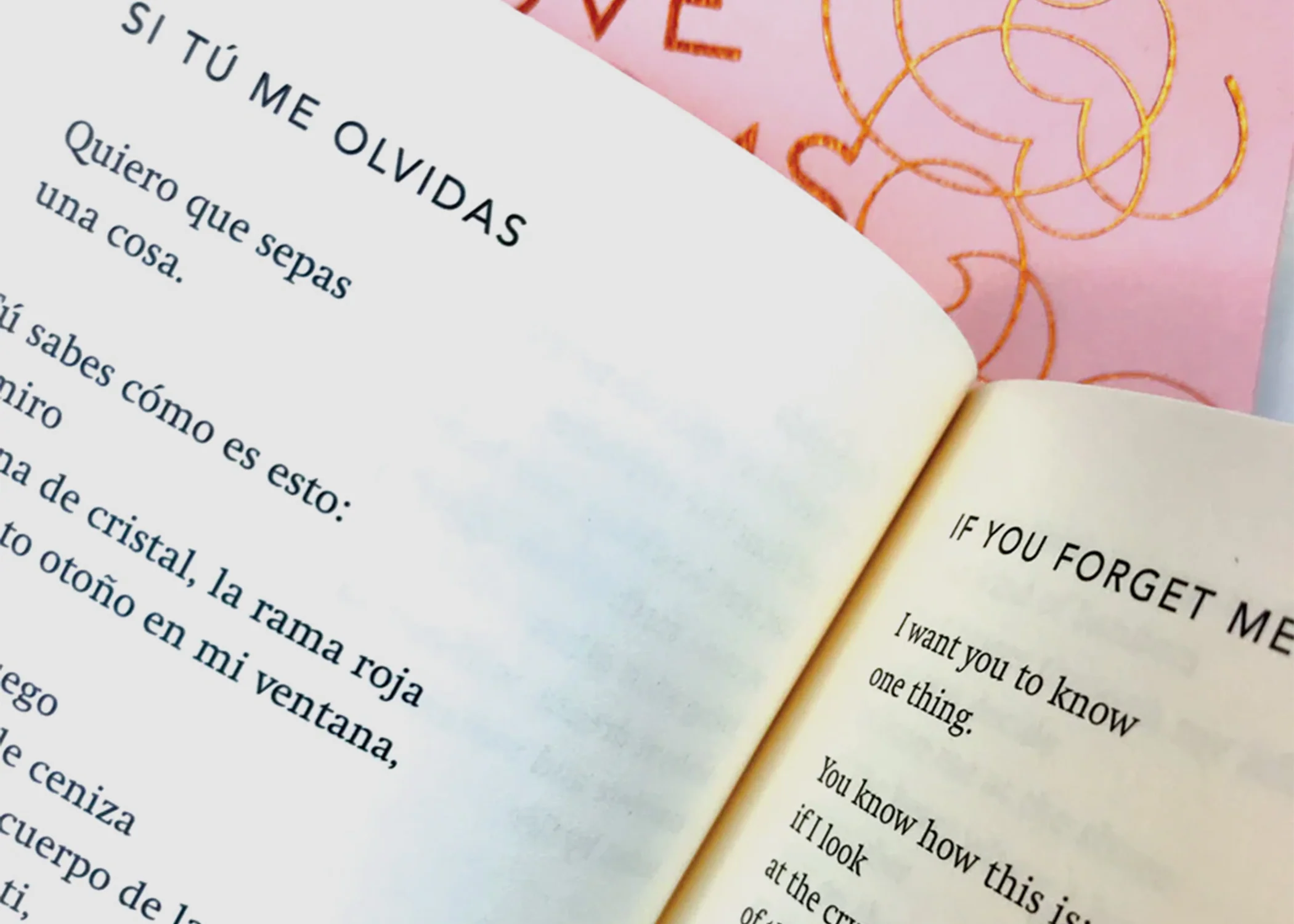 Love Poems by Pablo Neruda - Image 2