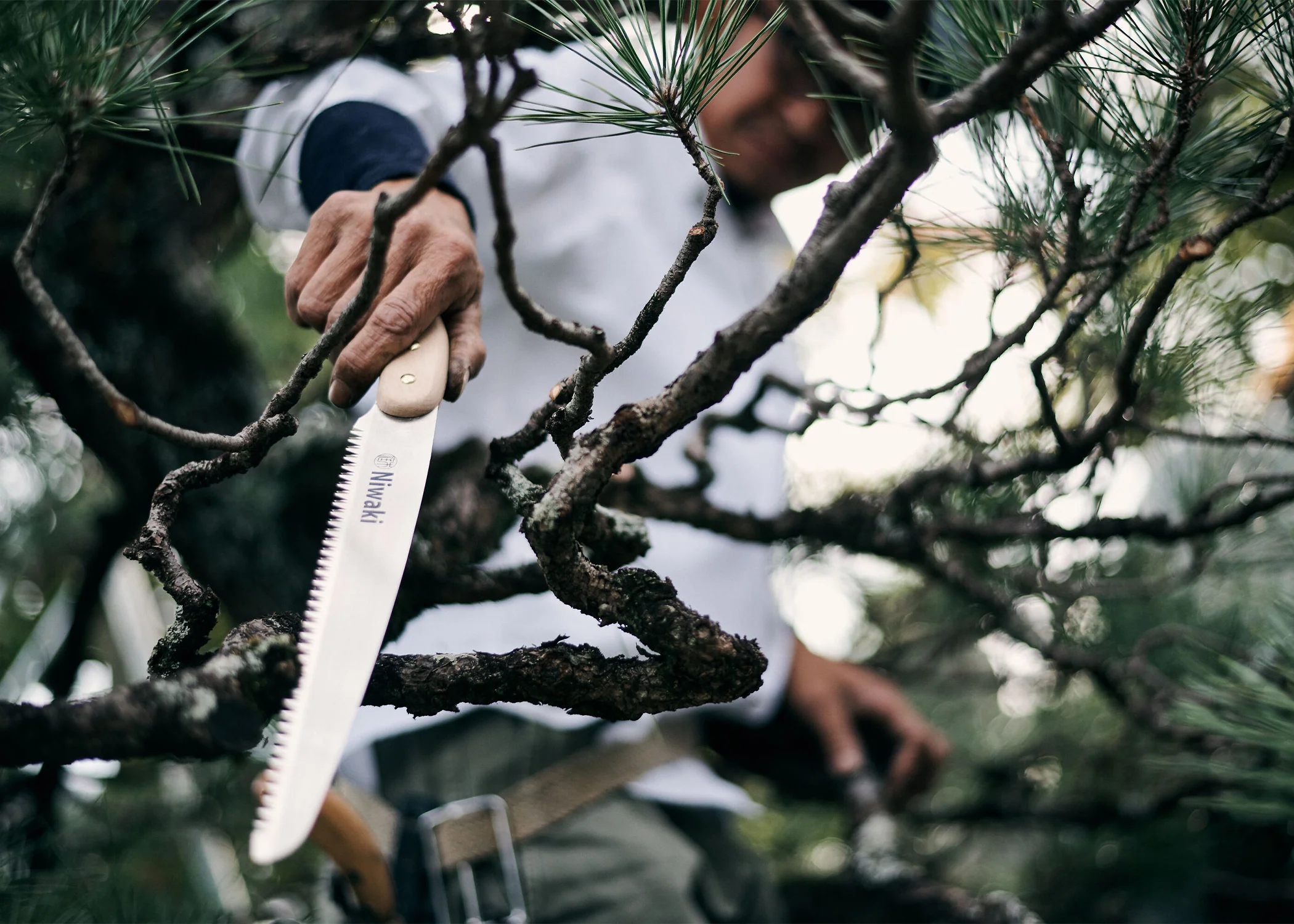 Moku Pruning Saw - Image 2