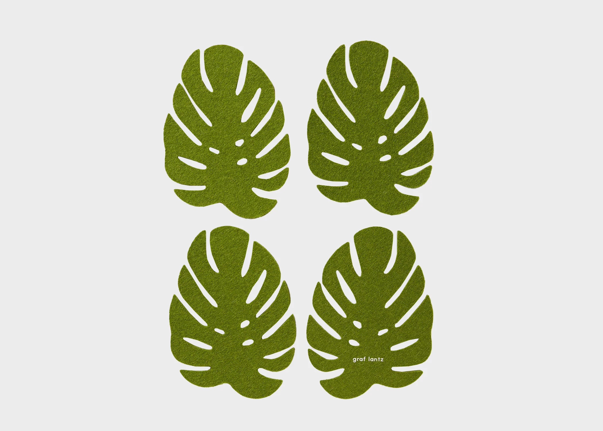 Monstera Wool Coaster 4 Pack
