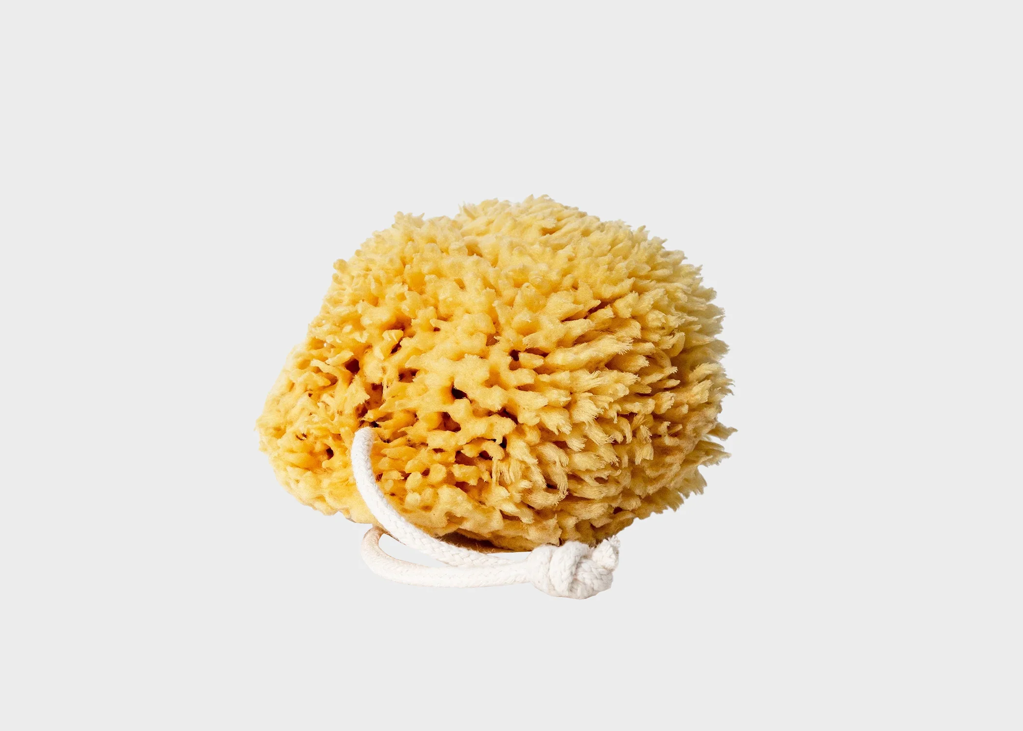 Natural Bath Sponge
