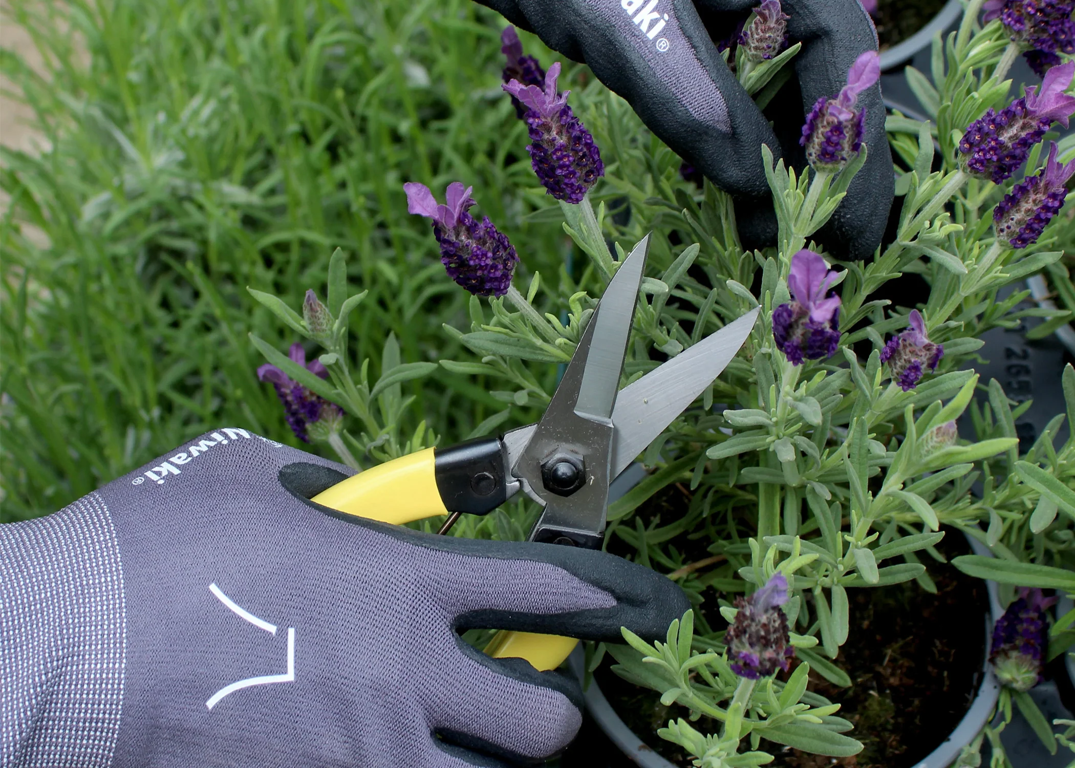 Gardening Gloves - Image 4