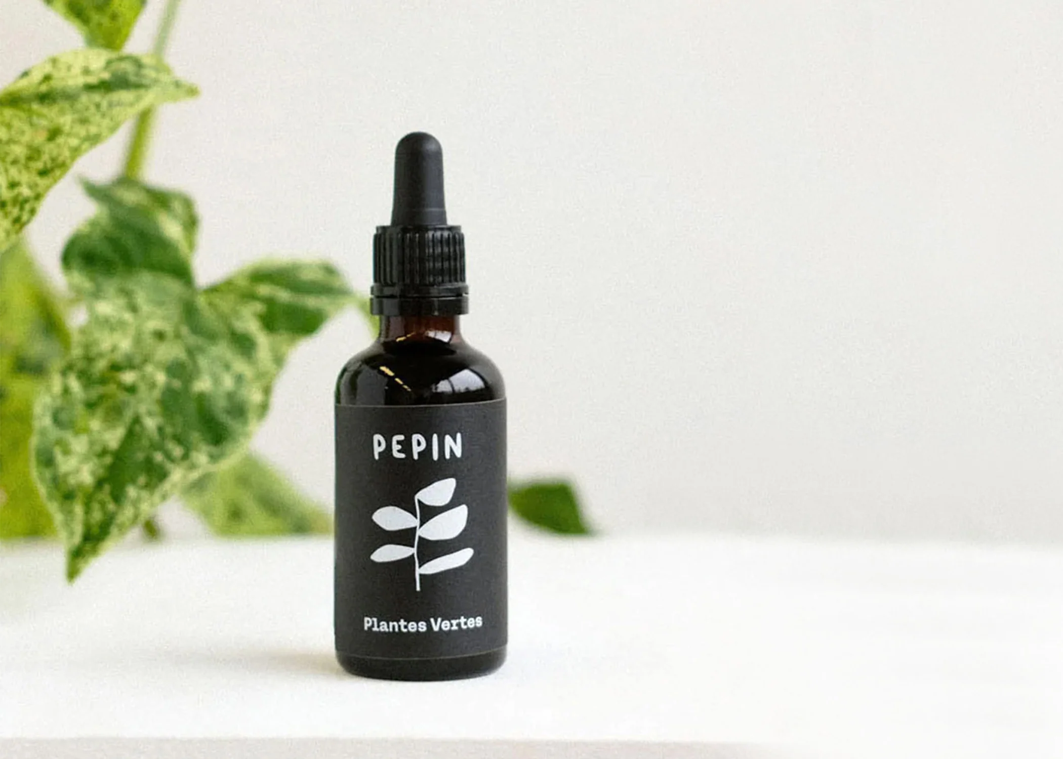 Pepin Plant Vitamins - Indoor Plants - Image 3