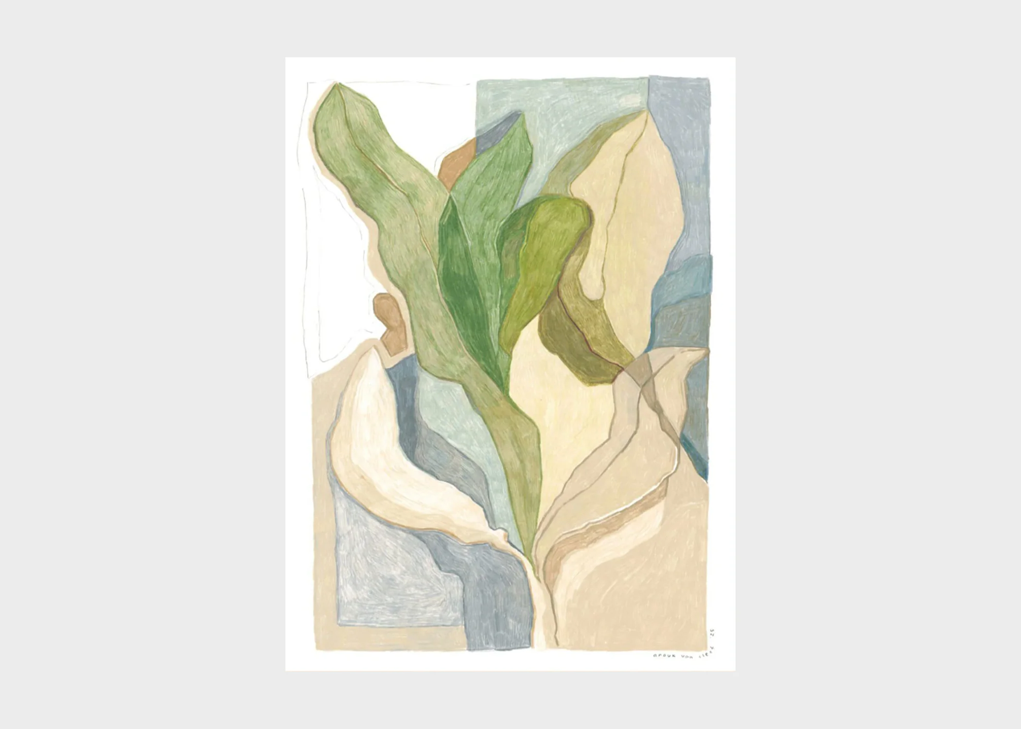 Print No. 492
