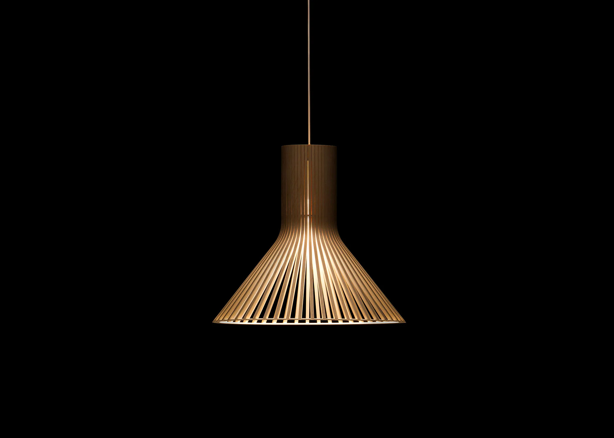 Puncto 4203 Pendant - Birch - Image 2