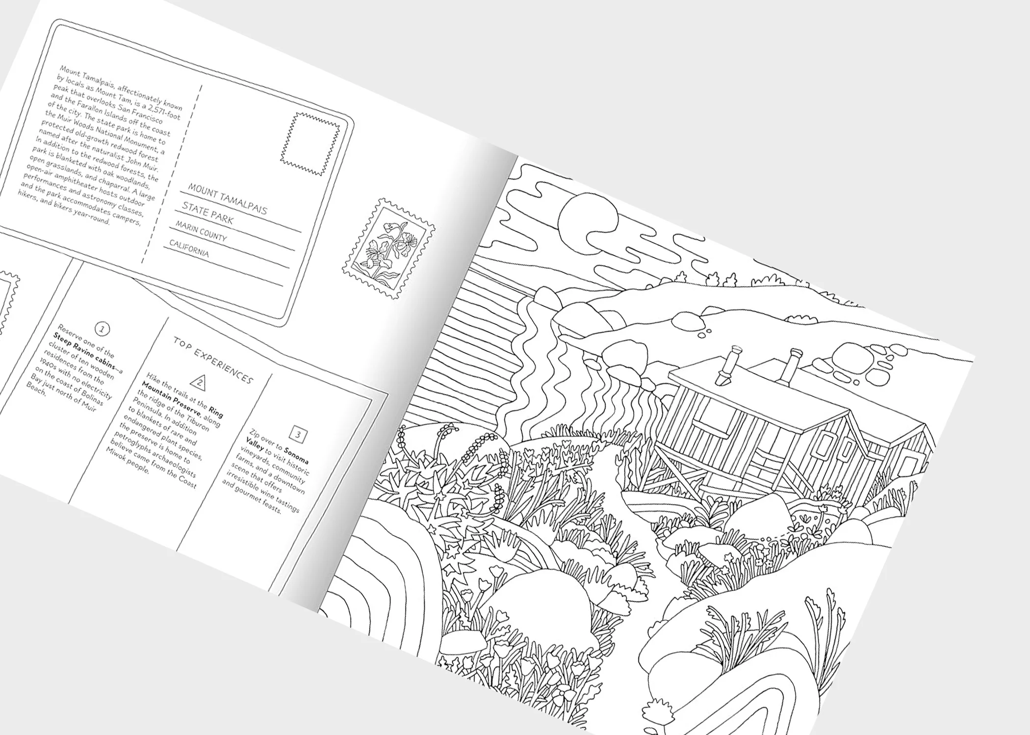 Road Trip! Coloring Book - Image 2