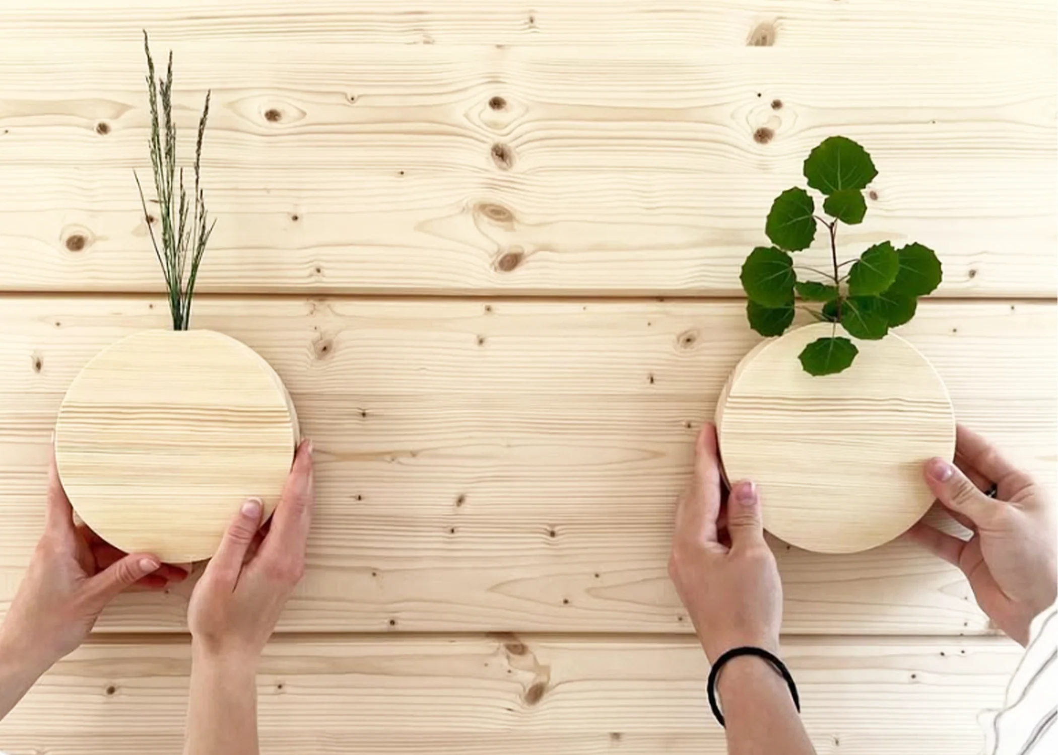 Round Pine Wall Vase - Image 4