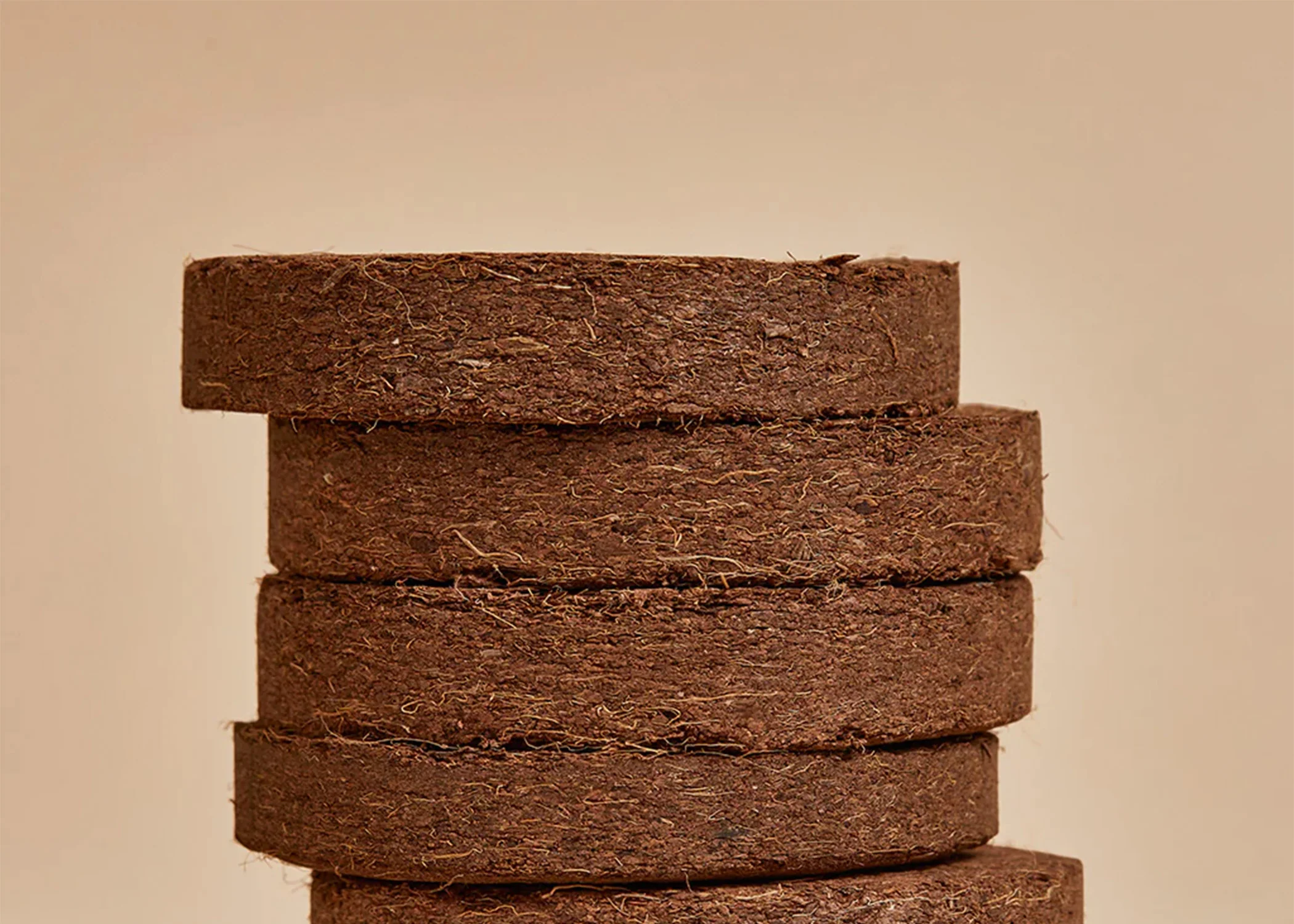 Seed & Soil Packet - Arugula - Image 5