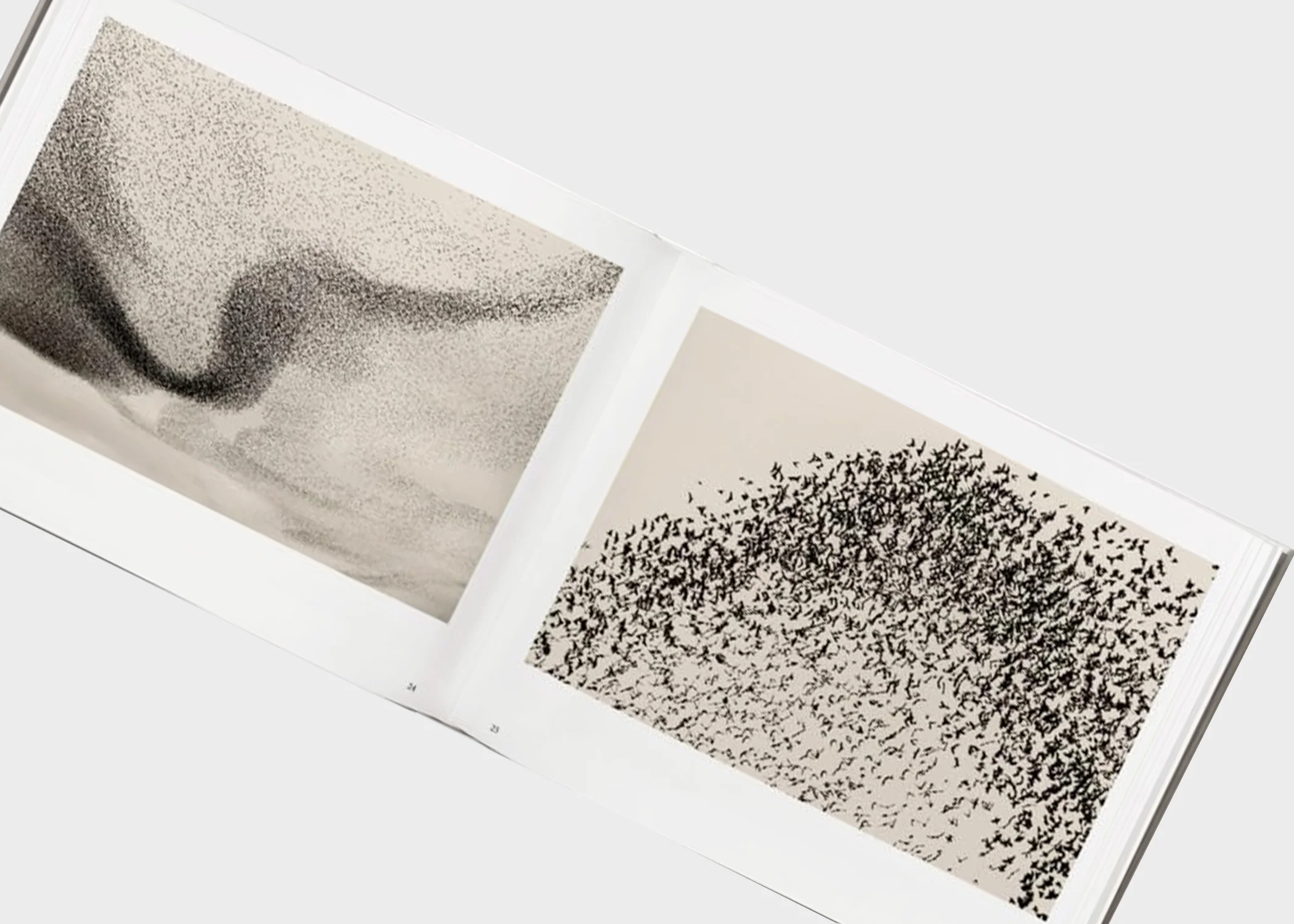 Søren Solkær: Black Sun - Image 2
