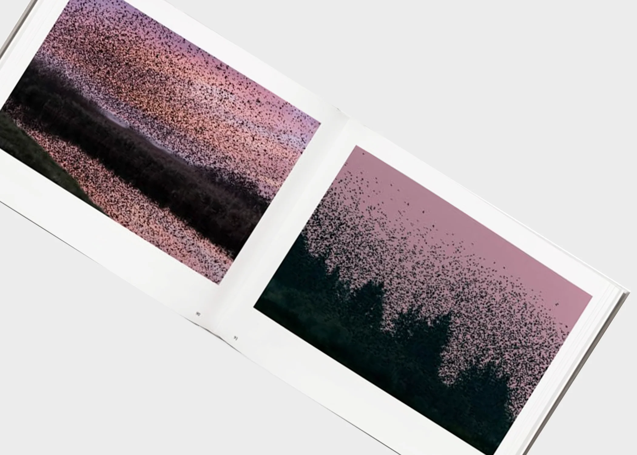Søren Solkær: Black Sun - Image 4