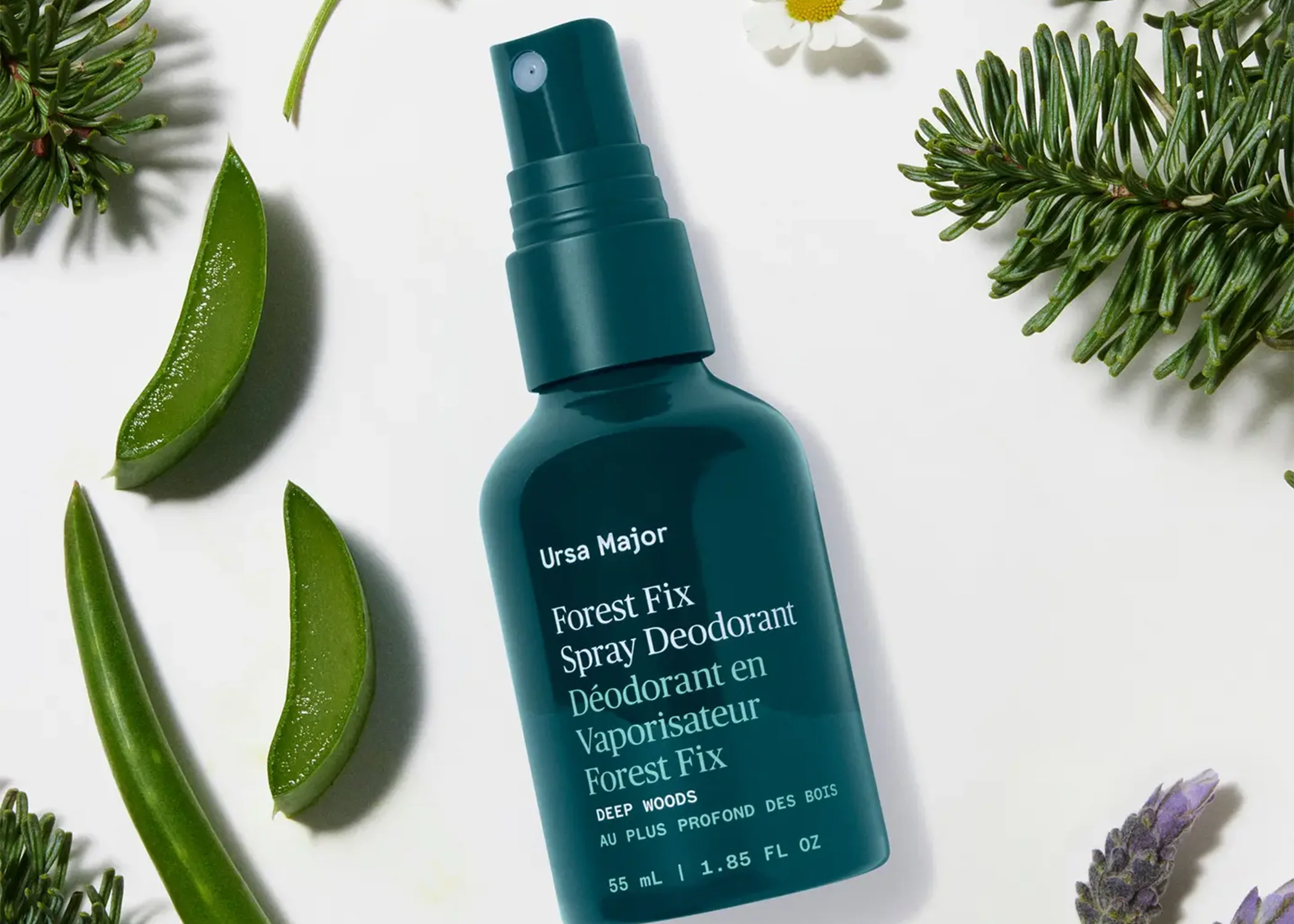 Forest Fix Spray Deodorant - Image 2