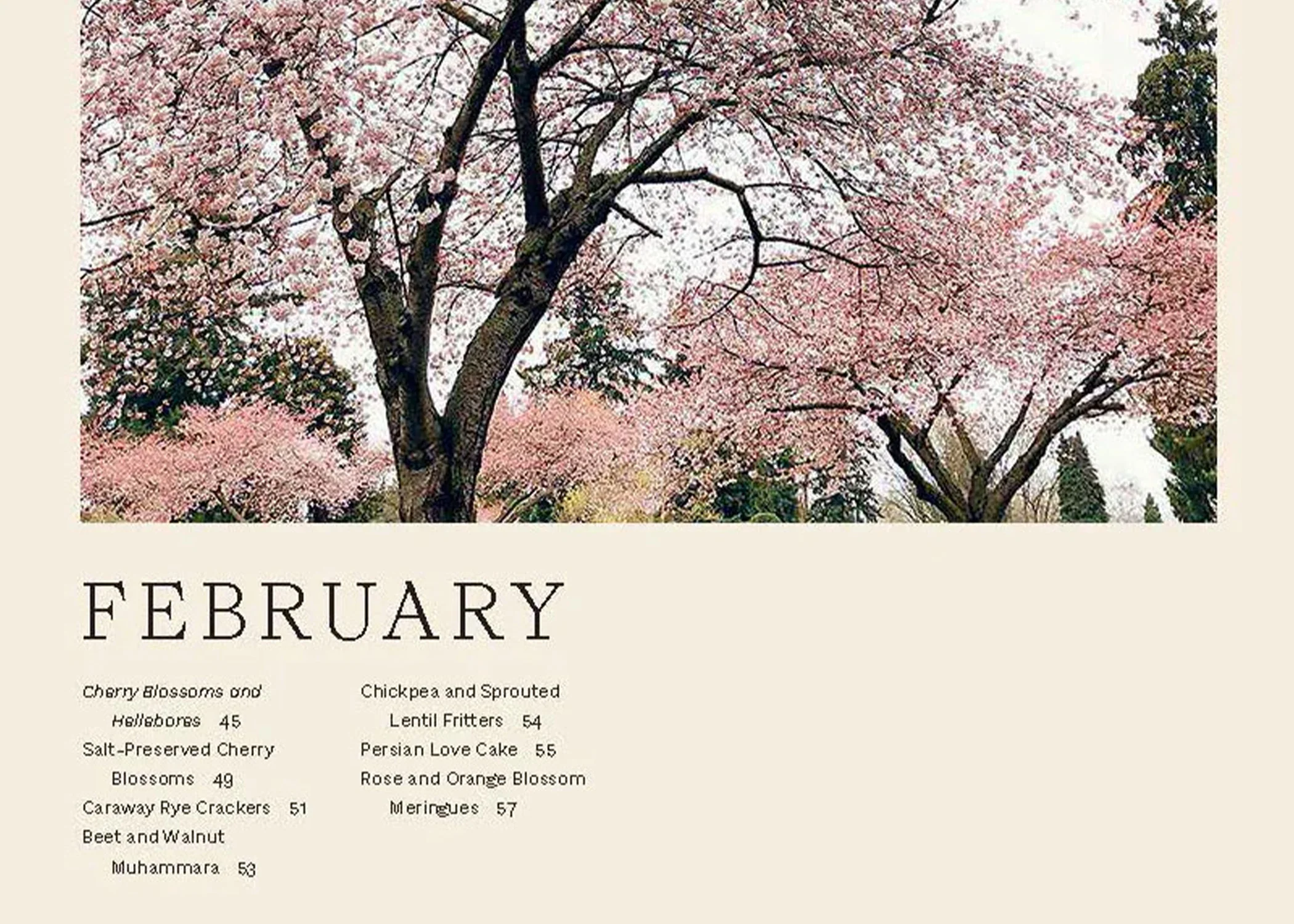 The London Plane Flower & Cookbook - Image 3