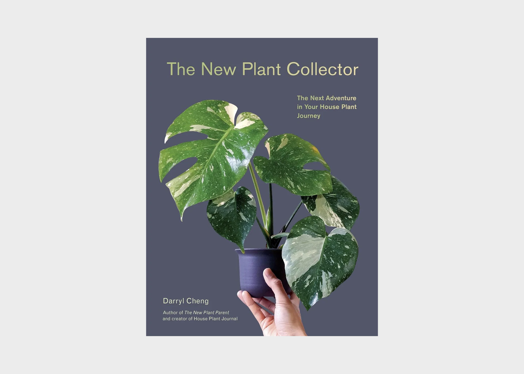 The New Plant Collector
